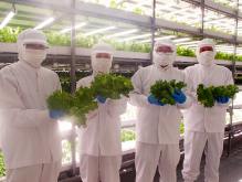 LED照明による植物工場